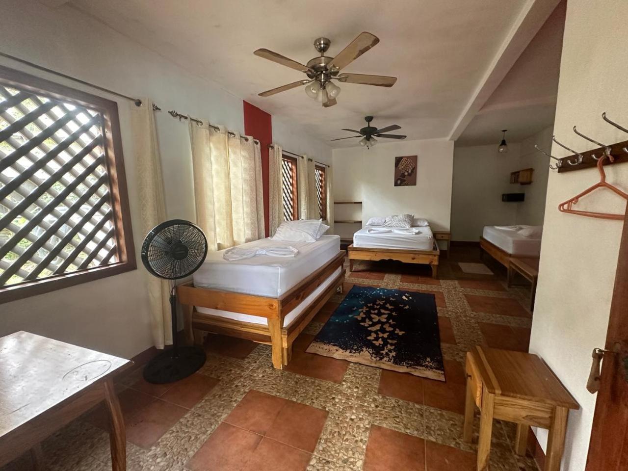 טורטוגוארו Hotel Don Quichotte מראה חיצוני תמונה