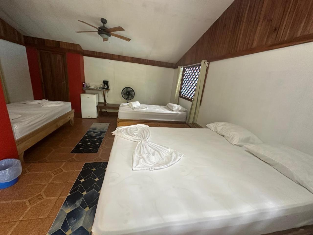 טורטוגוארו Hotel Don Quichotte מראה חיצוני תמונה