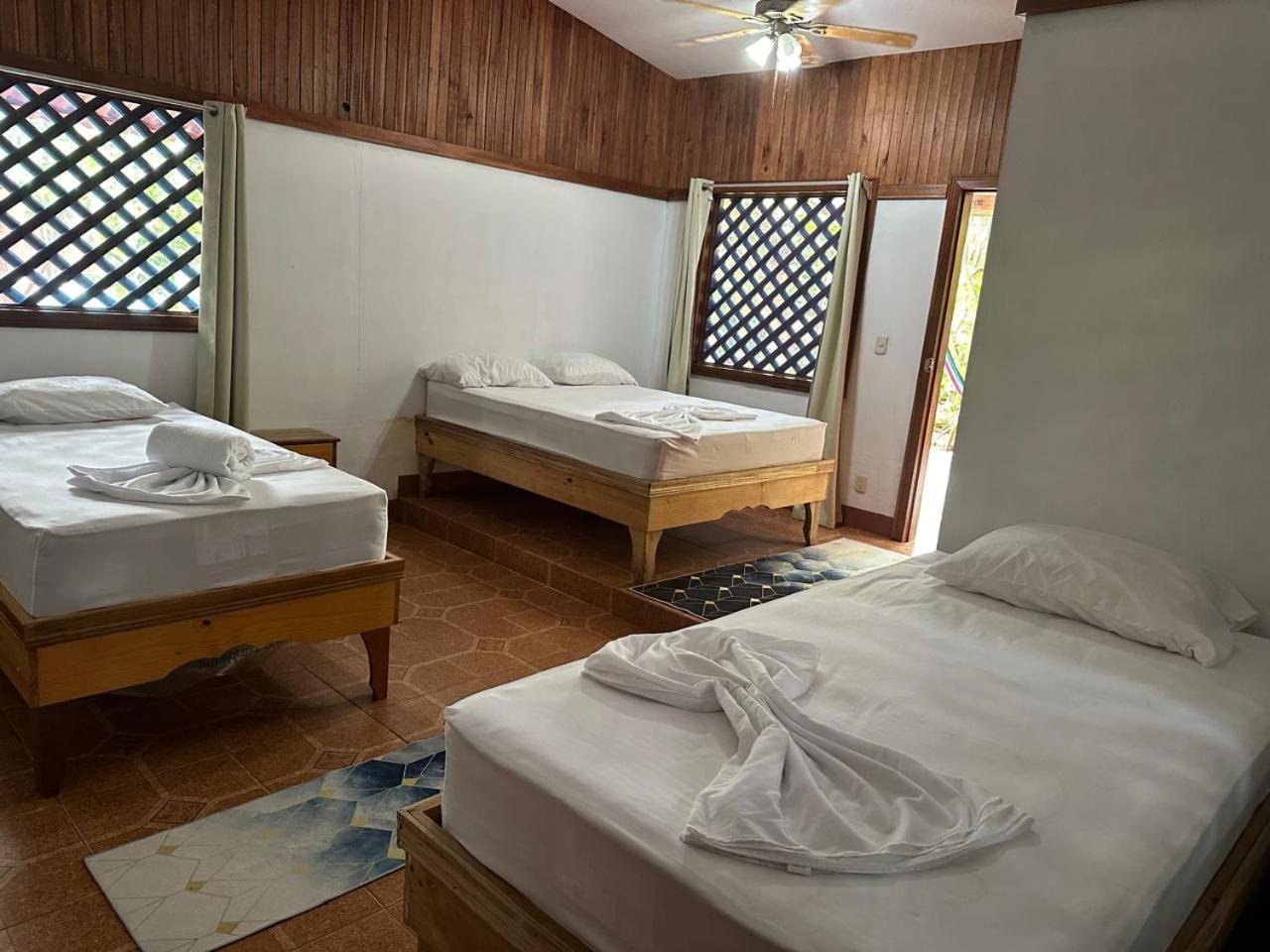 טורטוגוארו Hotel Don Quichotte מראה חיצוני תמונה
